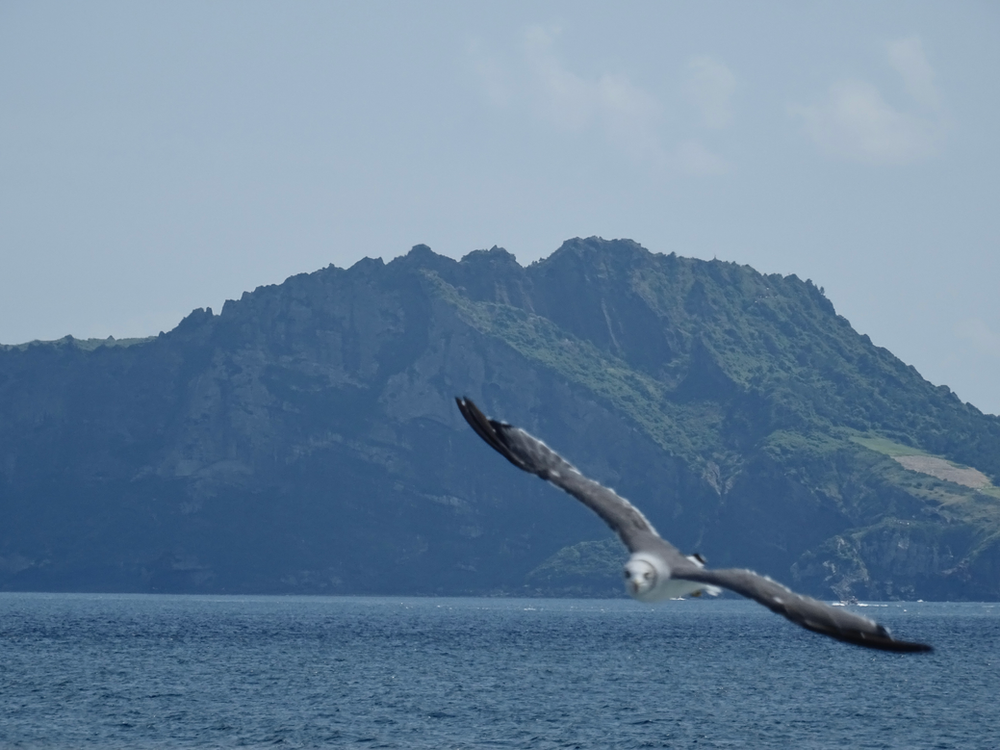 To Charming Jeju Countryside